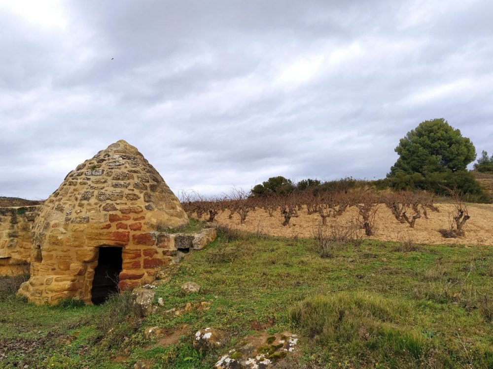 guardavinas